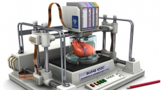New device to precisely assemble whole organs