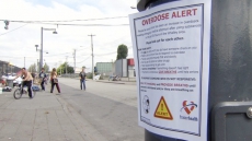 Seven Times More Opioid Prescriptions Filled In Canada, U.S., Than Sweden: Study