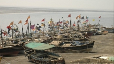 Pakistanis Nabbed From Drug-laden Boat Off Gujarat Sent To Custody