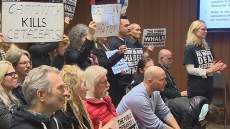 Vancouver Park Board Asks For Options Before Deciding On Cetacean Plebiscite