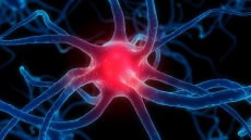 Parkinson's disease progression may be reversed
