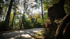 B.C. increases parks budget by $83M over 3 years B.C. increases parks budget by $83M over 3 years