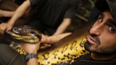Man Allows Himself To Be Swallowed Alive By Anaconda