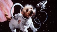 Now, send your dead pet to space!