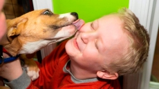 Quebec Bill Calls Animals 'Sentient Beings' And Includes Jail Time For Cruelty