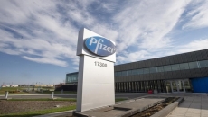 How do leading vaccine candidates compare?