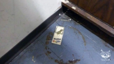 Vancouver Pharmacy's Licence Suspended After Rat And Mice Droppings, Mould Found