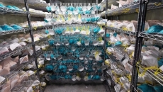 Health Canada warns against