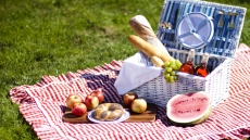 Picnic tips to ensure a good time