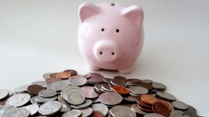 Newfoundland Family Posts Video In Bid To Identify Piggy Bank Burglar