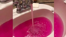 WATCH: Tap Water 'Very, Very Pink' Has Residents In Alberta Town In A Tizzy