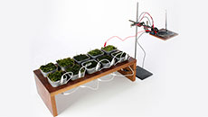 What? Plant-powered FM radio is here