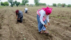 PMO reviews El Nino impact, urges ministries to work with states on preparedness measures