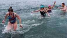 Health Tips From Officials As Herring Egg Harvest Opens On Vancouver Island