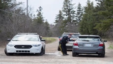 Nova Scotia mass killer's semi-automatic guns believed to have come from U.S.