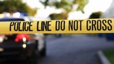 5 people in hospital after crash between car, horse-drawn sleigh in Nova Scotia