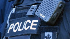 34-Yr-Old Langley Male In Custody After Attempt Break-In