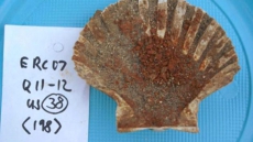 What Did Ancient Romans Eat? Varied Diet Found From Pompeii Latrines, Sewers