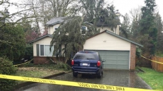 Woman Killed In Bedroom After Wind Knocks Down Tree In Port Moody