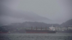 Port in Prince Rupert, B.C., sets cargo volumes
