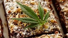 Court Date Set For Toronto Cops Accused Of Eating Pot-Laced Chocolate