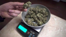 Demand For Legalized Cannabis Draws Lineups, Heavy Web Traffic Across Canada