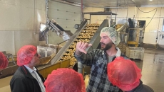 Simple potato extract can control obesity