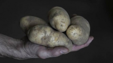 Cases of metal found in potatoes rises to six in Atlantic Canada, RCMP say
