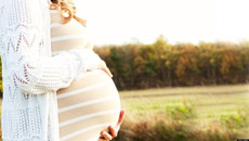 High temperature reduces length of pregnancy: Study