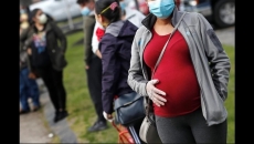 Study suggests fetal coronavirus infection is possible