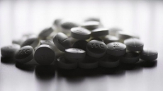 Pharmacy tracking could help curb opioid abuse in Newfoundland: police, minister