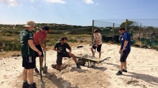 Protecting oceans and marine life, one volunteer at a time