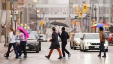 Executive public servants returning to the office on a full-time basis today