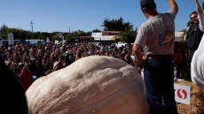 Plumpest pumpkin: 2,058-pound gourd sets record at Northern California competition