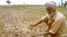 Punjab, Haryana hit by poor rainfall