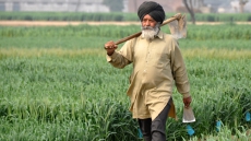 75% Hike In Agriculture Allocation, Yet Experts Not Happy