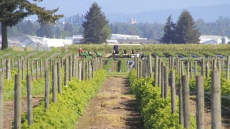 Punjab Makes A Pitch For Investments From Taiwan