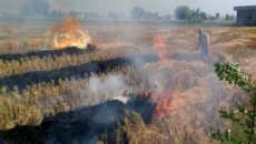 Punjab civil society bodies demand advisories on bad AQI days