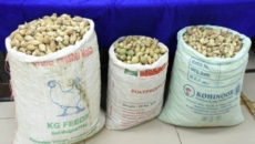 Man held in Punjab for possessing 55 kg opium