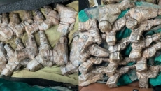 Punjab Police bust inter-state weapon smuggling module