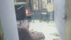 At least 10 students in Punjab face assault after India lost to Pak in T20 World Cup