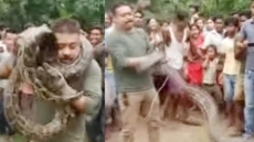 In Video Amid Selfies, Rescued Python Almost Strangles Forest Officer