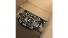 Twice-escaped python found dead near Victoria