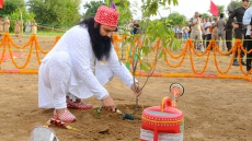 Mass Grave At Dera Sacha Sauda's Headquarters Has 600 Skeletons, Ram Rahim's Aide Reveals