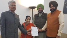 Need Steps To Rein In 'Truant' NRI Grooms: Congress To Centre