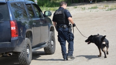 RCMP Search For Dognapper After Theft Of Pooch From Fenced Yard In Kelowna, B.C.