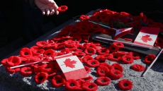 Victoria Council To Fund Remembrance Day Ceremony; Offers Apologies To Veterans