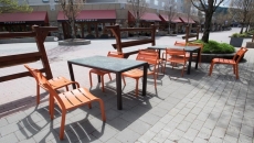 Beware! Frequent Dining Out Can Harm Your Health