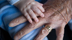 Young blood holds key for reversing ageing: Studies