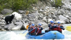 Turbulent Battle As Golden, B.C., Fights To Save Local River Rafting Industry